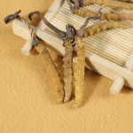 Cordyceps Extract Factory - Sinensis Militaris Blend