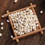 Fritillaria Extract Supplier - Cirrhosa Organic