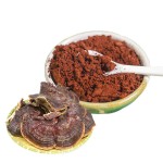Reishi Extract Manufacturer - Amino Acid Vitamin