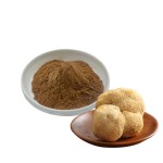 Lions Mane Capsules Manufacturer - Mushroom Extract Organic