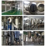 Lions Mane Powder Manufacturer - Hericium Erinaceus