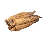 Red Ginseng Slices Supplier - Korean Panax Root