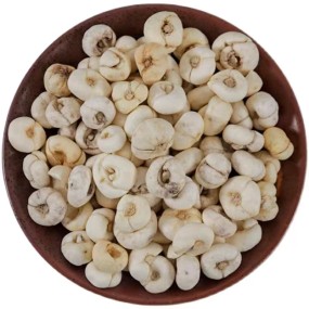 Fritillaria Extract Supplier - Cirrhosa Organic