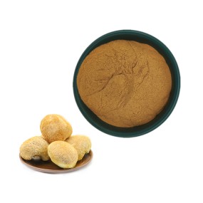 Lions Mane Powder Manufacturer - Hericium Erinaceus