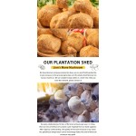 Air Dried Lions Mane Manufacturer - Hericium Erinaceus
