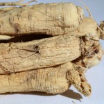 Ginseng Root Supplier - Changbai Mountain Raw