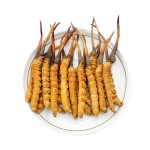 Cordyceps Fungus Powder Manufacturer - Pure Natural