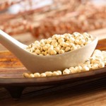 Fritillaria Extract Supplier - Cirrhosa Organic