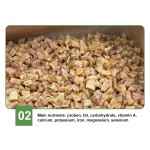 Scallop Meat Factory - Tender Delicious Flavor