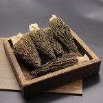 Morel Mushroom Supplier - Dry Whole Morchella