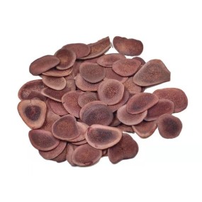 Deer Antler Supplier - Sika Deer Tablets