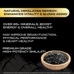 Sea Moss Gummies Factory - Black Seed Oil Ashwagandha