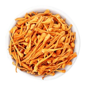 Cordyceps Militaris Factory - Relieve Hypoxia Fatigue