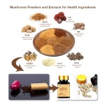 Lions Mane Powder Manufacturer - Hericium Erinaceus