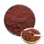 Reishi Powder Factory - Ganoderma Lucidum Extract
