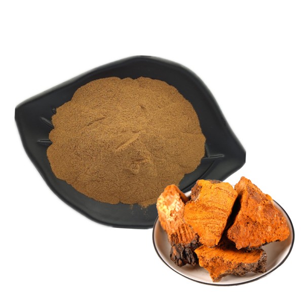 Chaga Extract Powder Factory - 10:1 Polysaccharide
