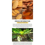 Tongkat Ali Extract Manufacturer - Eurycoma Root