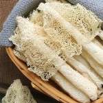 Wild Bamboo Fungus Manufacturer - Dried Dictyophora