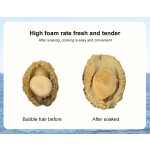 Raw Abalone Supplier - Shell Red Frozen