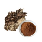 Maitake Powder Supplier - Dried Mushroom Organic