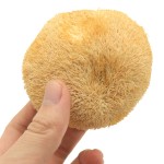 Cocklebur Mushroom Manufacturer - Deep Mountain Large