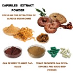 Lions Mane Powder Supplier - Hericium Erinaceus Extract