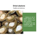 Raw Abalone Supplier - Shell Red Frozen