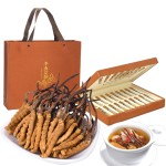 Cordyceps Fungus Factory - Health Food Package