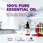 Tangerine Peel Oil Manufacturer - Organic Stress Relief