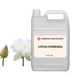 Lotus Hydrosol Supplier - Antioxidant Whitening Purifying