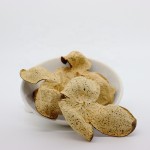 Orange Peel Extract Factory - Nobiletin 20% Powder