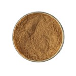 Huangjing Extract Supplier - Polysaccharide 50% Soluble