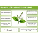 Patchouli Oil Supplier - Organic Inflammation Soothe
