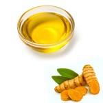 Turmeric Root Oil Manufacturer - Bulk Skin Moisturizing