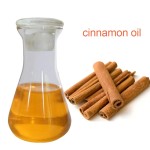 Cinnamon Essential Oil Supplier - Natural Fragrant Calming