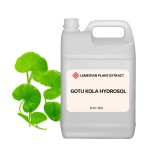 Gotu Kola Hydrosol Factory - Barrier Repair Acne Care