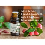 Wintergreen Oil Factory - OEM Cosmetics Aromatherapy