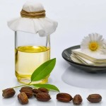 Jojoba Oil Manufacturer - OEM Cold Pressed Carrier
