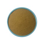 Chuanxiong Extract Supplier - Ligusticum Wallichii Powder