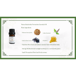 Heat Relief Oil Factory - Summer Refresh Blend