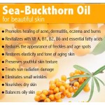 Sea Buckthorn Oil Factory - Food Grade Berry Seed