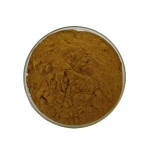 Polygonum Extract Supplier - Herbal Medicine Health