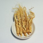 White Ginseng Root Supplier - Dried Chinese Ginseng