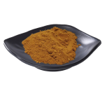 Cordyceps Extract Factory - Chinese Herb Powder