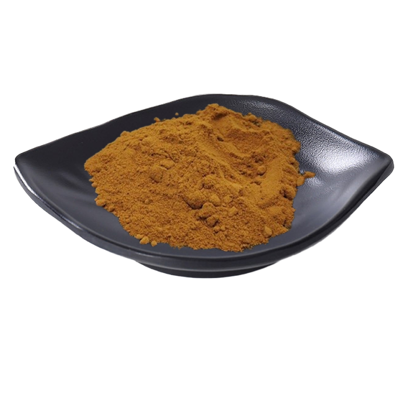 Cordyceps Extract Factory - Chinese Herb Powder
