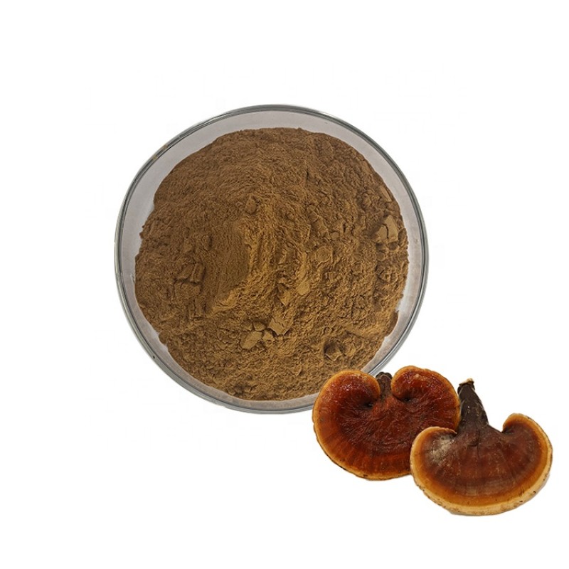 Reishi Mushroom Powder Manufacturer - Ganoderma Spore Extract