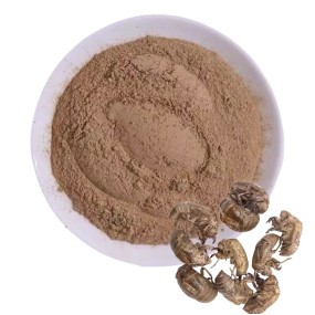 Cicada Slough Extract Supplier - Solvent Extraction Powder