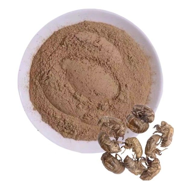 Cicada Slough Extract Supplier - Solvent Extraction Powder