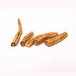 Teasel Root Supplier - Dried Dipsacus Chinese Herb