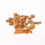 Teasel Root Supplier - Dried Dipsacus Chinese Herb